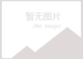 石城县字迹咨询有限公司